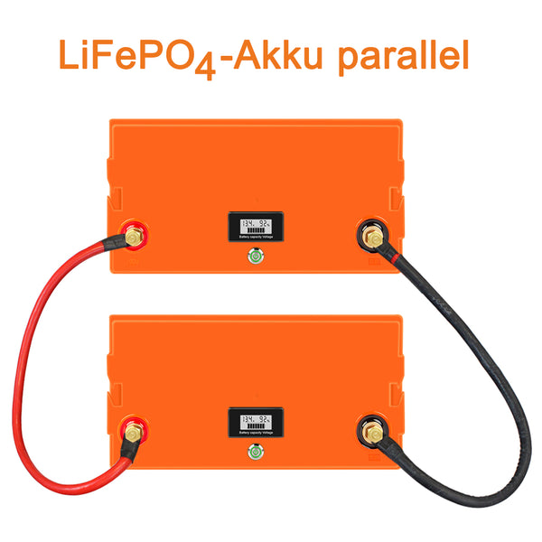 LiFePO4 Batterie/Akku für Wohnmobil Wohnwagen Camping RV Boot