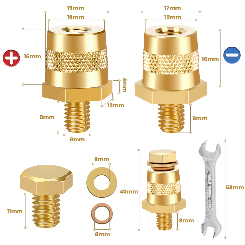 Adattatori Poli Batterie Bullone M8